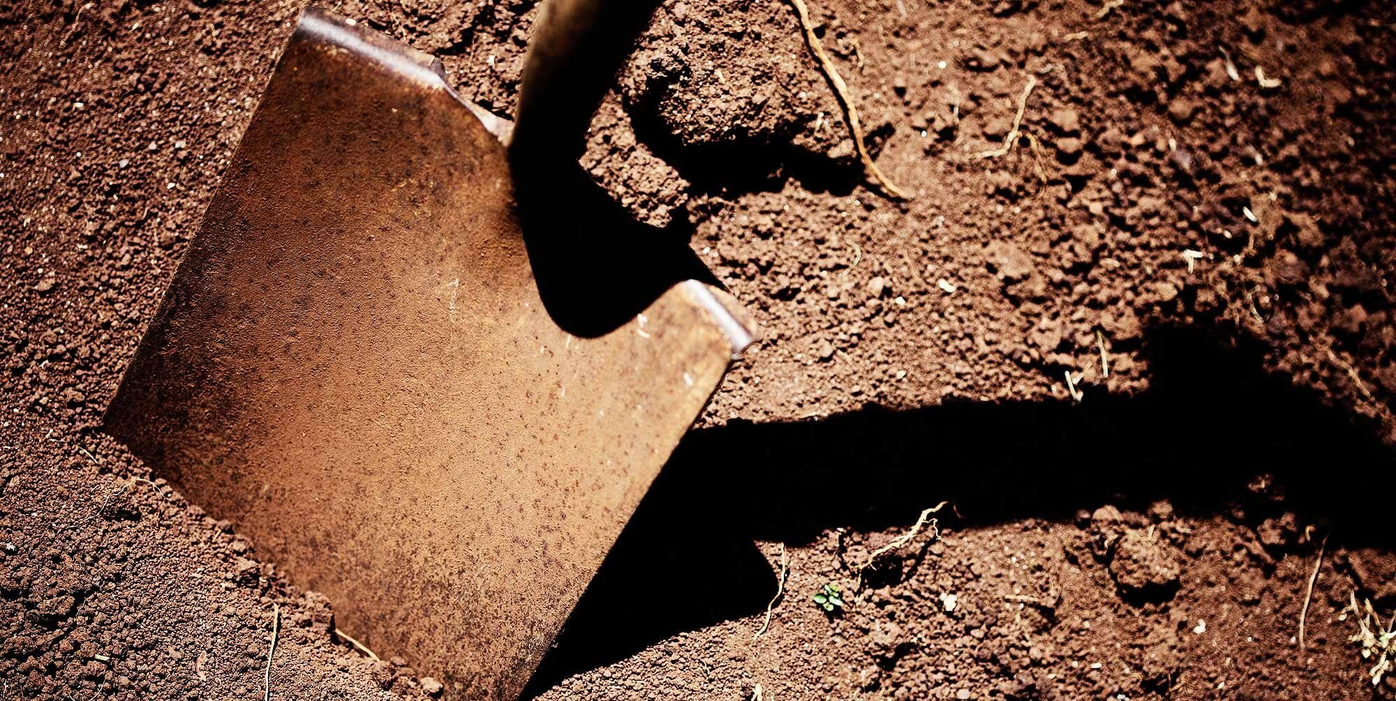 SNW-Website-Behind-a-Veil-2000x1005