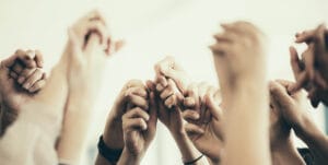 SNW-Website-My-Team-2000x1005