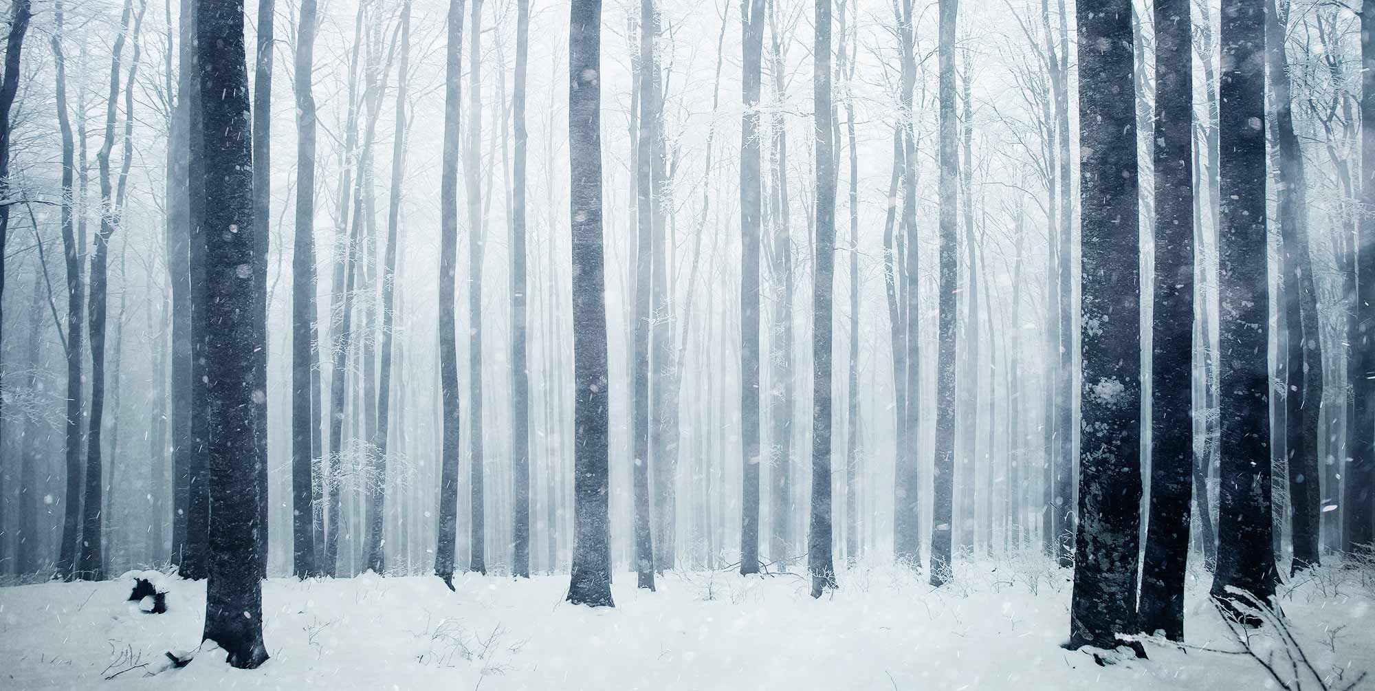 snw-website-seasonal-affective-disorder-2000x1005