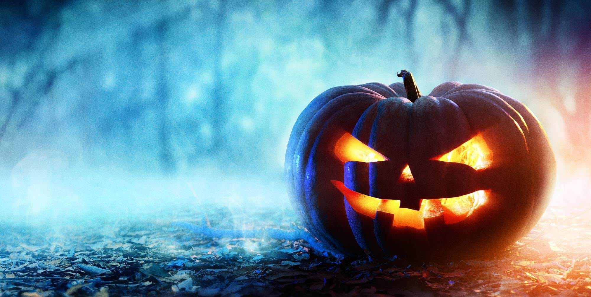 snw-website-halloween-attractions-exploit-2000x1005