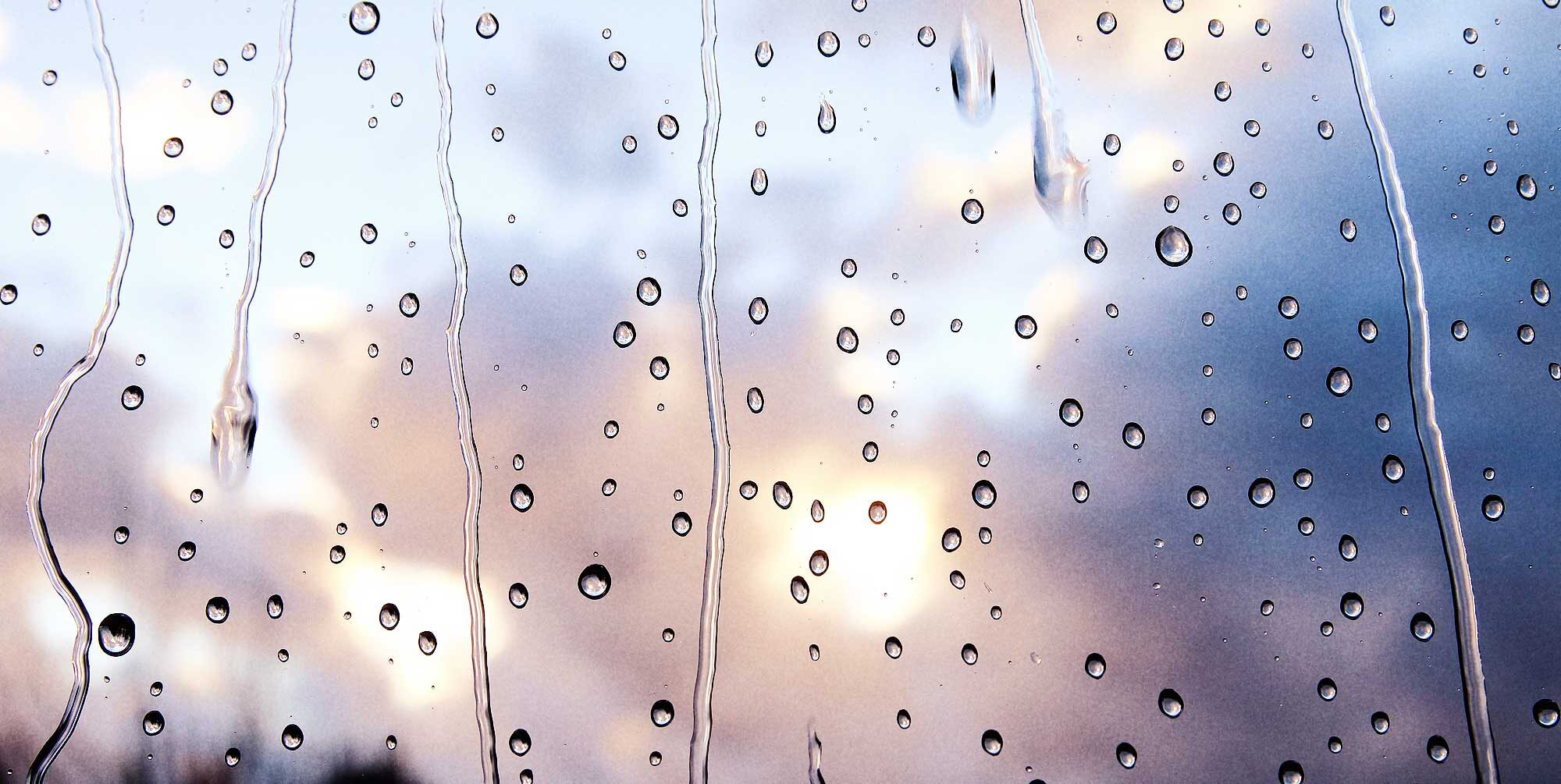 snw-website-power-of-rain-2000x1005