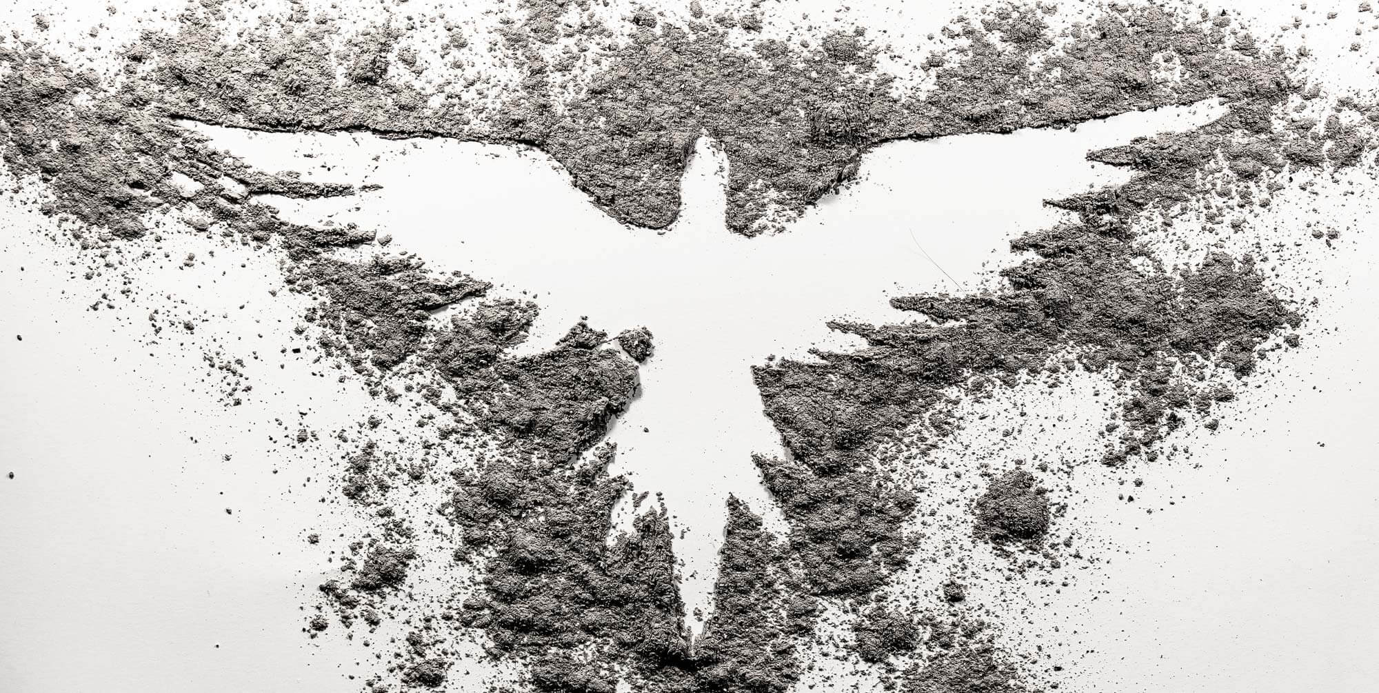SNW-Website-Like-a-Phoenix-from-the-Ashes-2000x1005