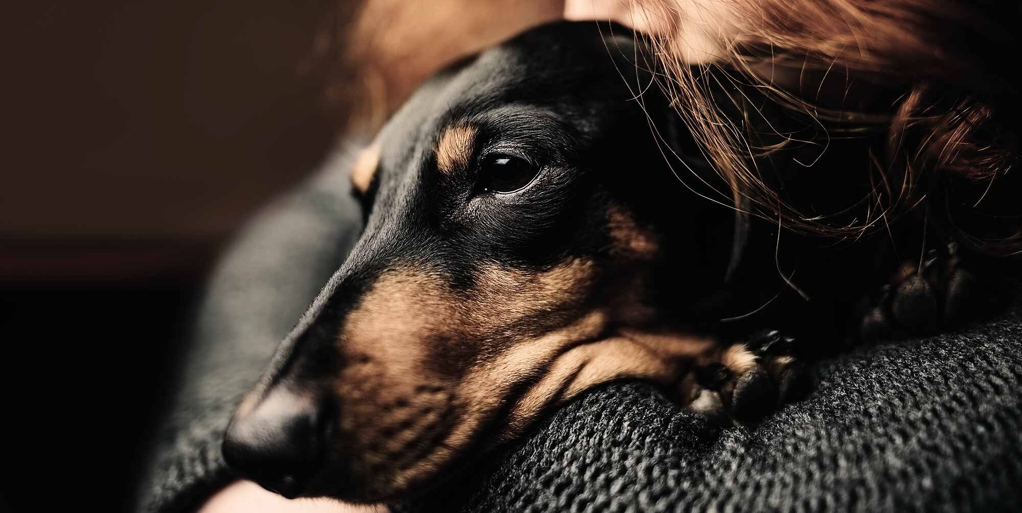 SNW-Website-Born-This-Way-2000x1005