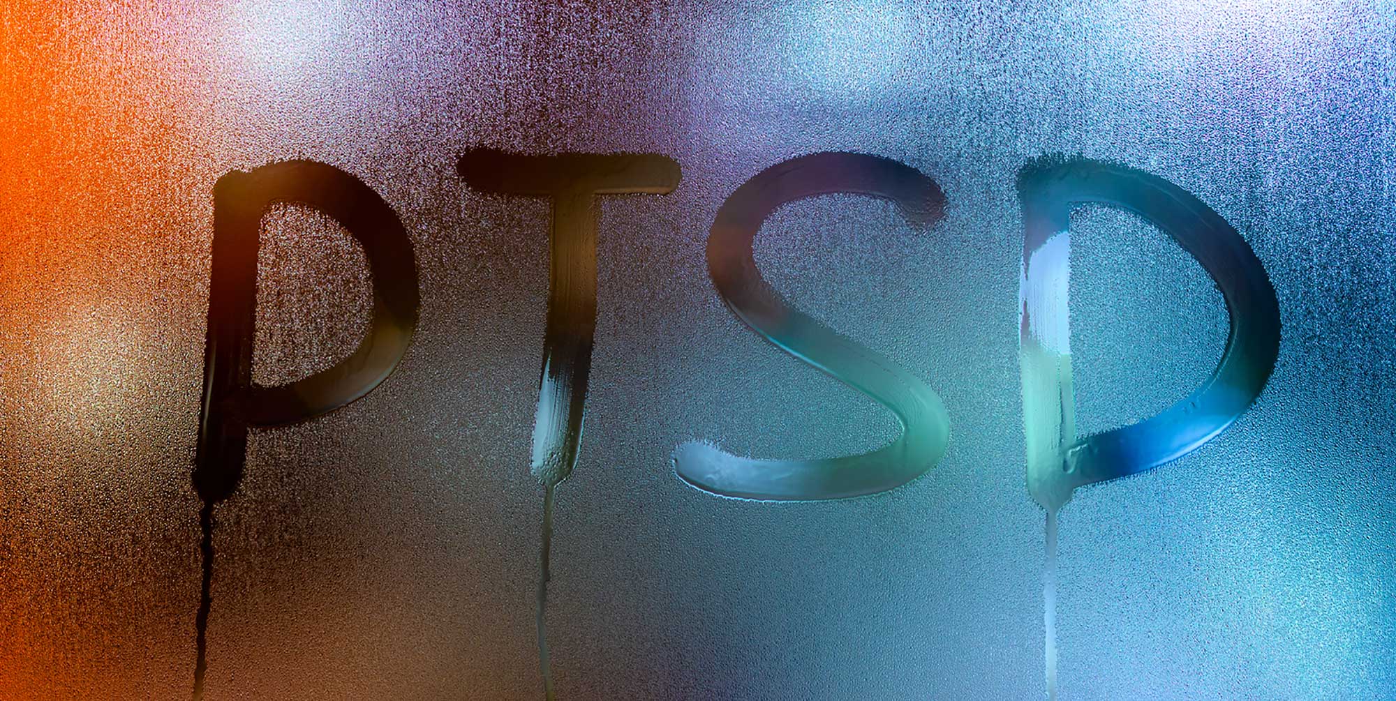 SNW-Website-The-Gift-of-PTSD-2000x1005