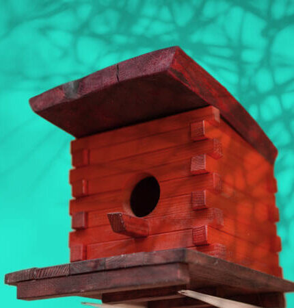 SNW-Website-Garden-Depression-450x450